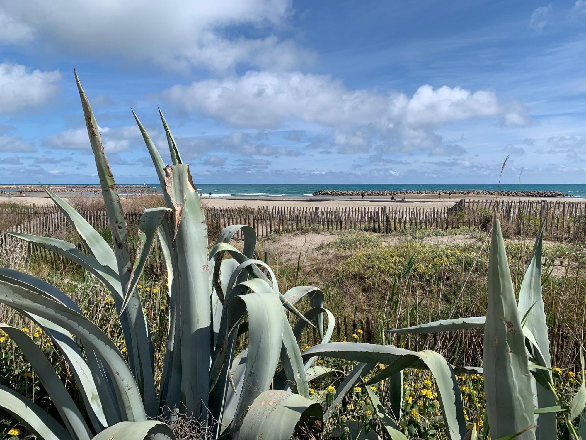 Sète - Fewo mit Meerblick, Schwimmbad Esterno foto